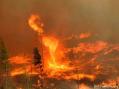 Kettle Complex Fire image J. Foster Fanning via InciWeb.jpeg